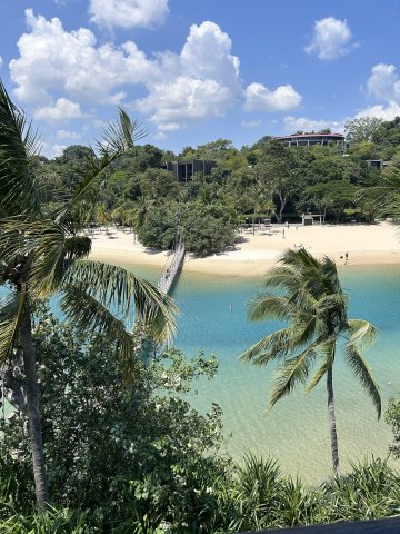 The Lion City Diaries - Media 1